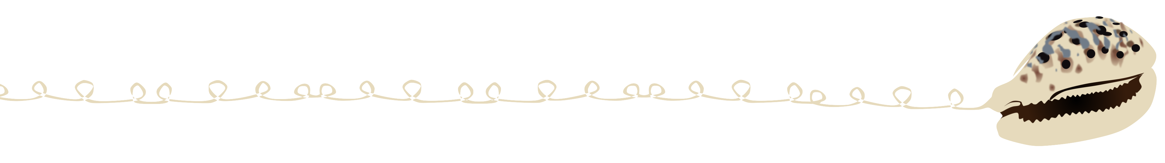 Shellphone with elongated cord